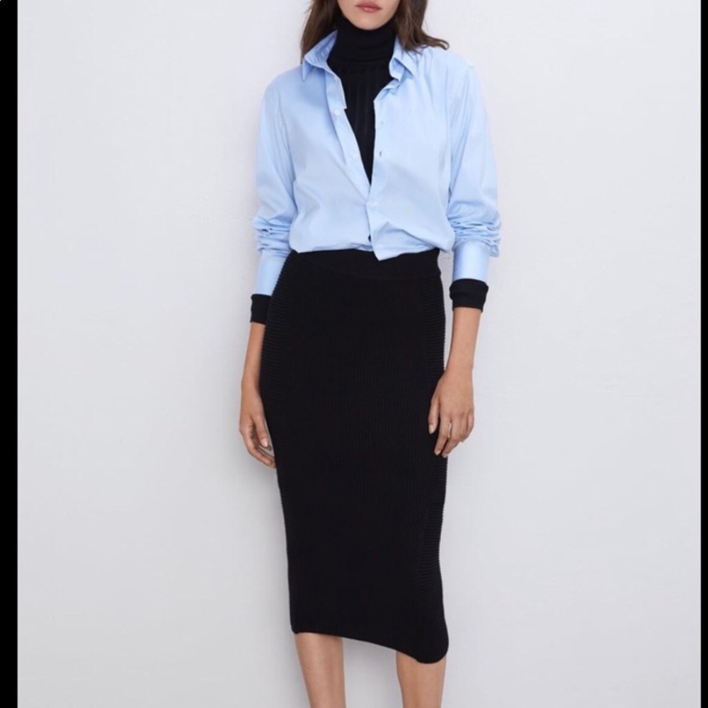 Zara Skirt